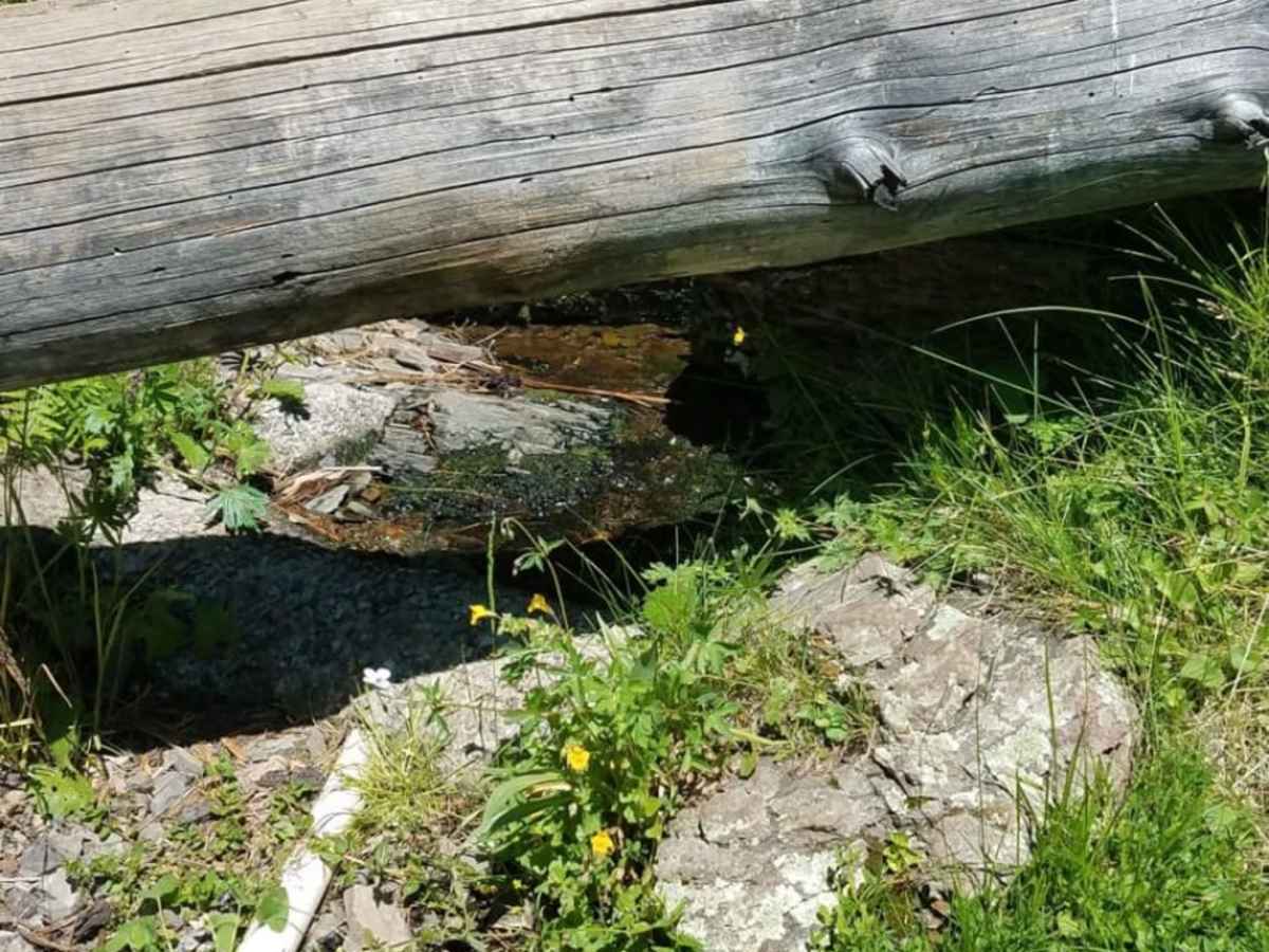 Corder Loop trail photo