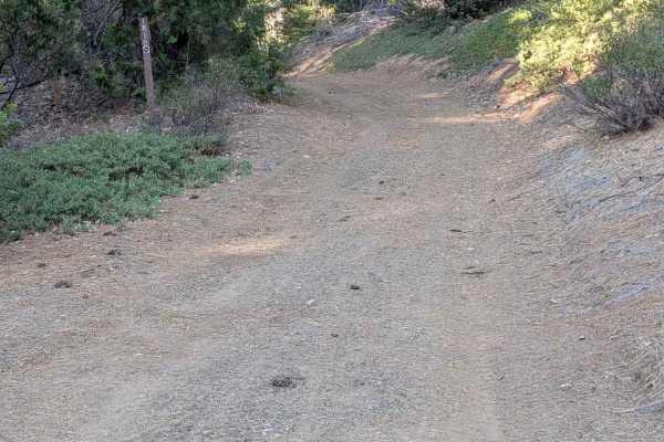 Bear Wallow Meadow Road - FS 1N14