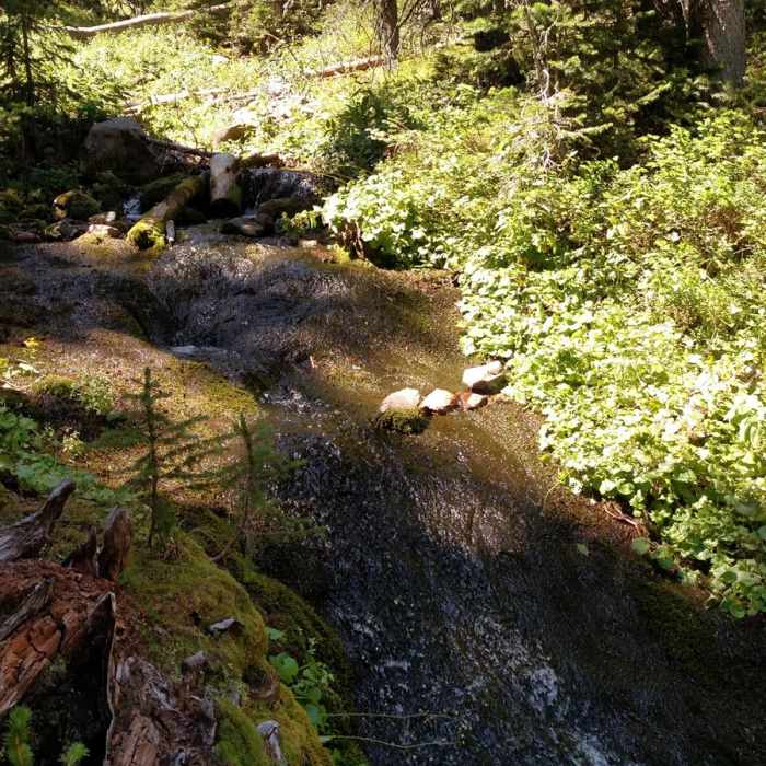 Near Mount Blackmore