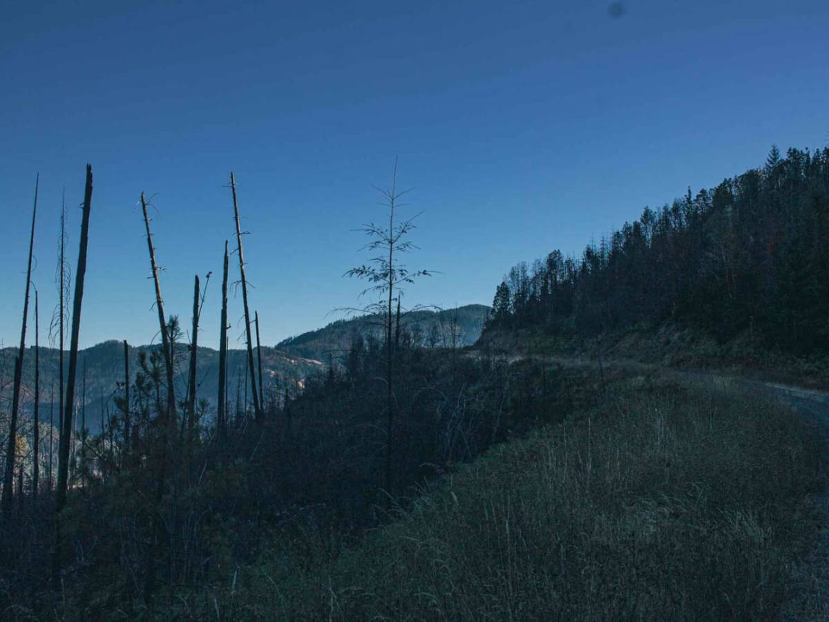 Bachelor Butte photo 2