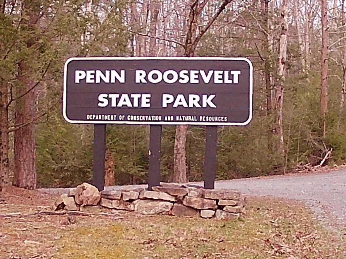 Camp Road trail photo
