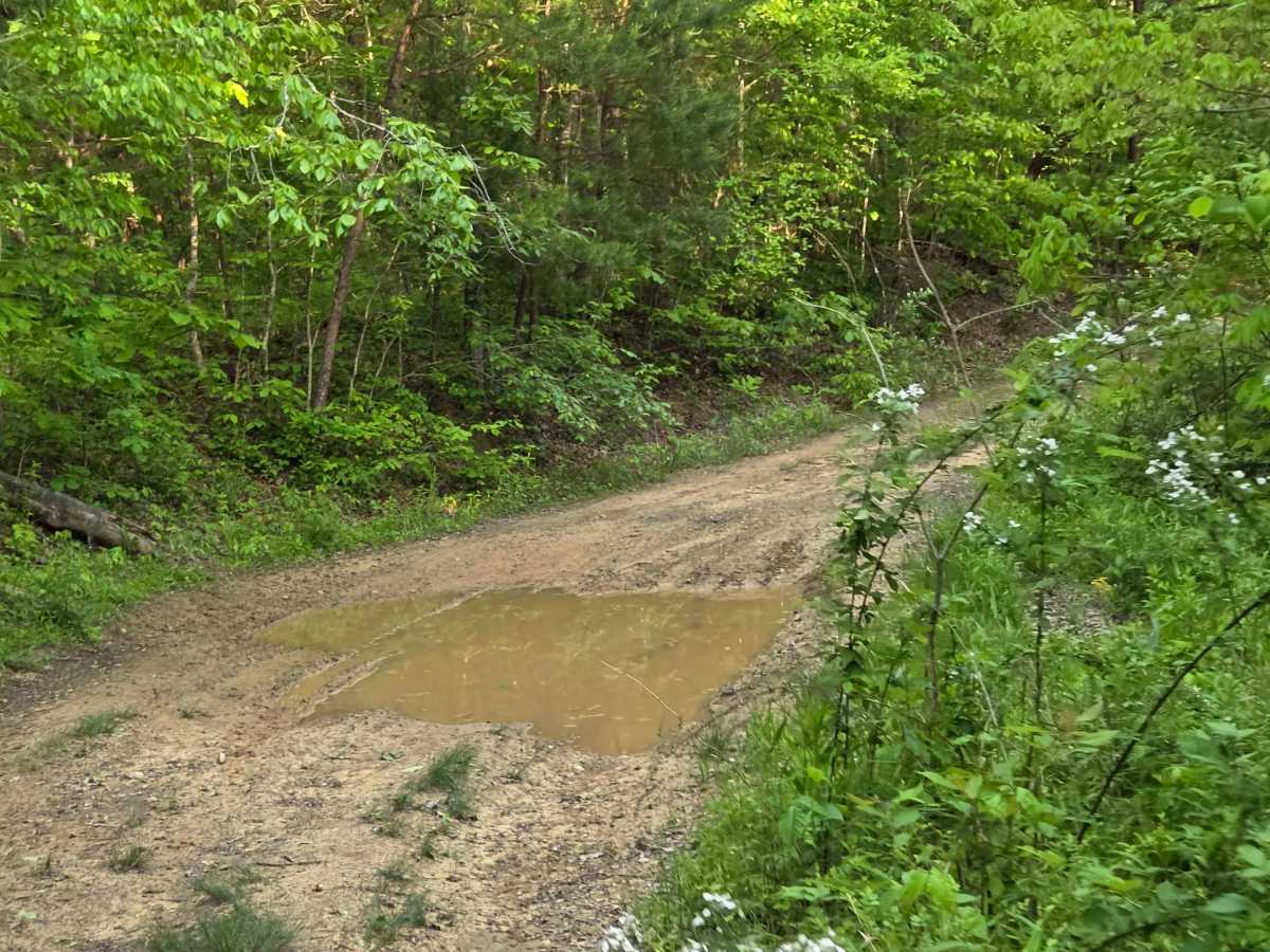 County Line/Brandenburg Road photo 3