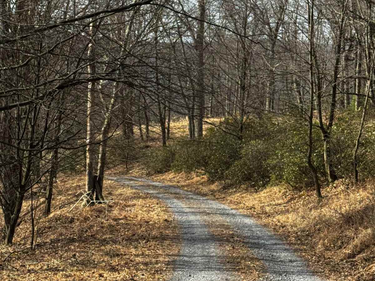 Flat Rock Road photo 4