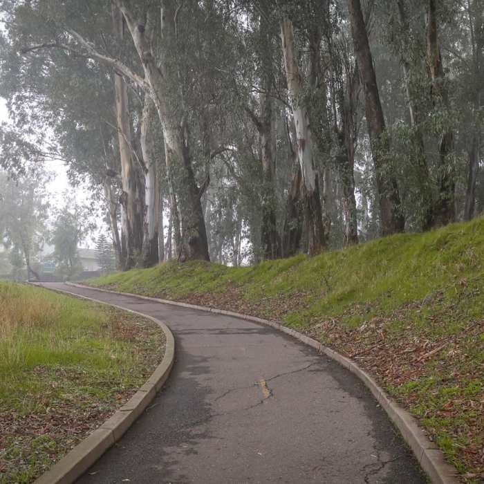 Near Fahrens Creek Trail Near Fahrens Creek Trail