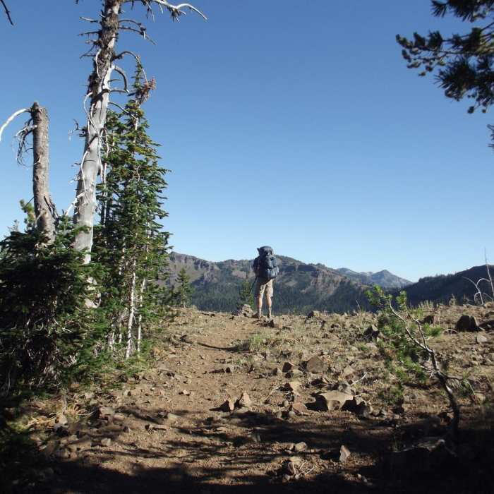 Near North Catherine Creek Trail + Cartwheel Ridge Loop