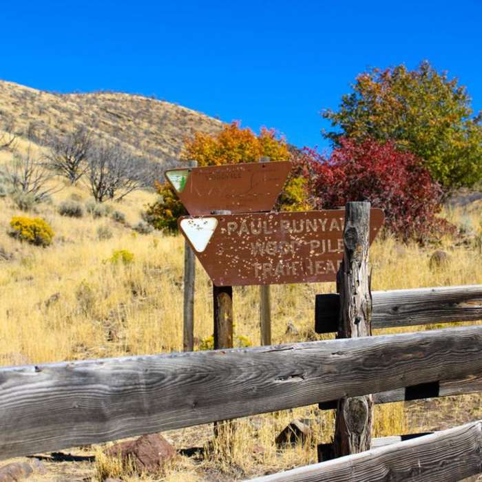 Near Paul Bunyan's Woodpile