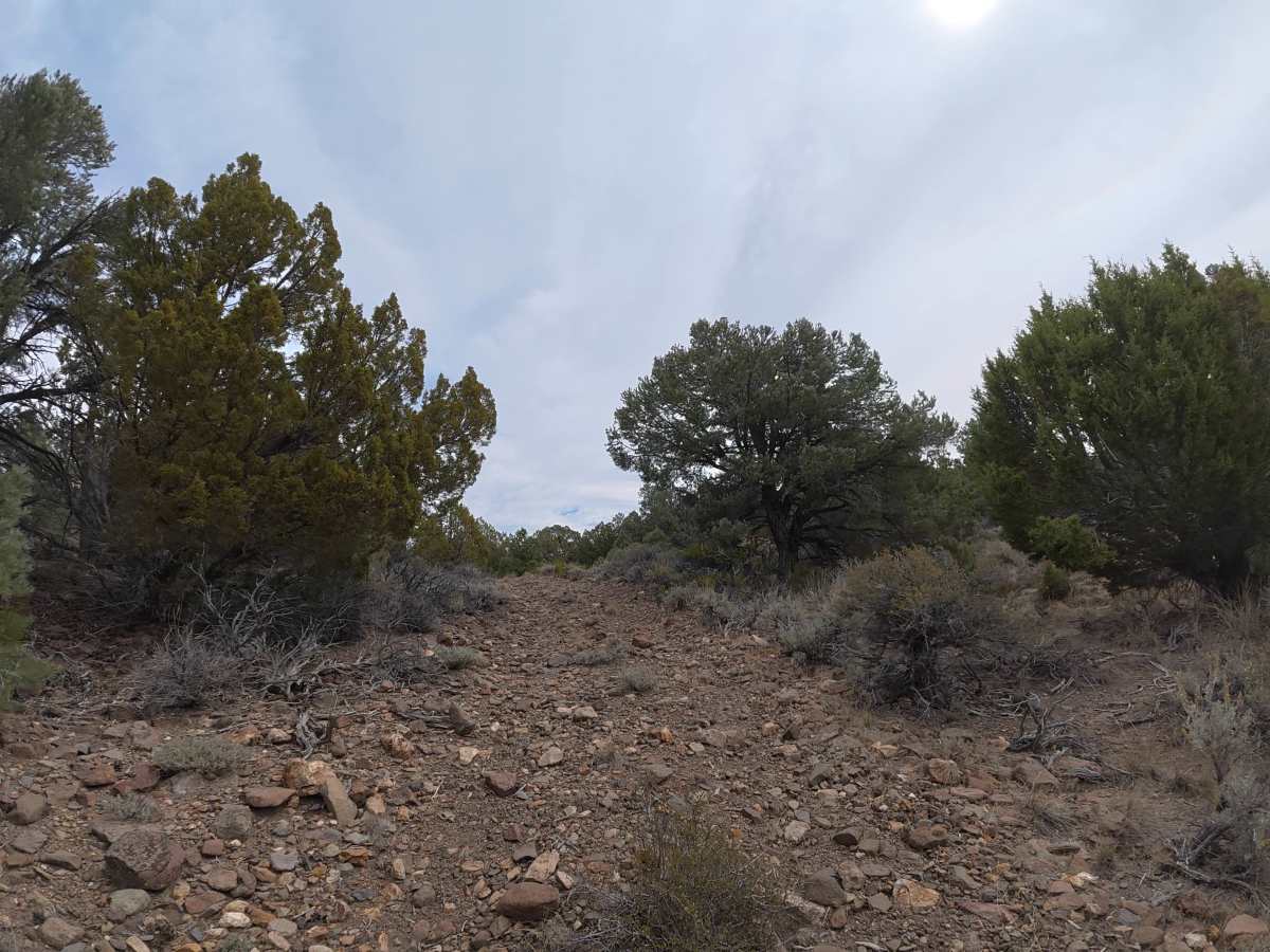Masonic Disp 11 photo 5