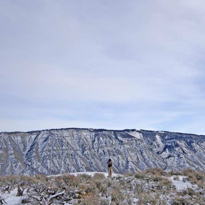 Near Beaver Ponds Loop