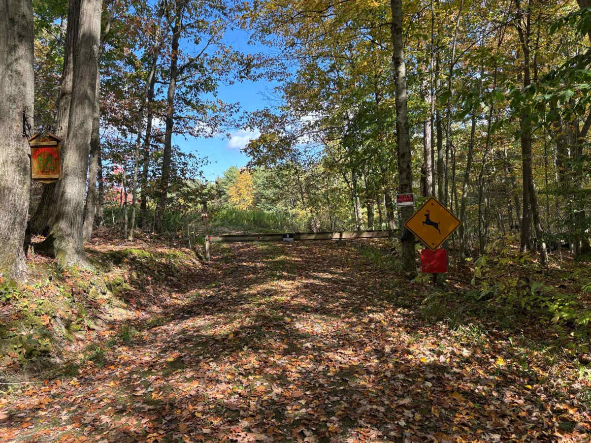 Beechner Road photo 5