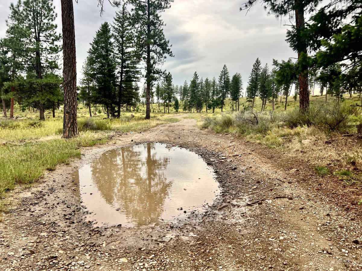 Loon Lake Meadows photo 3