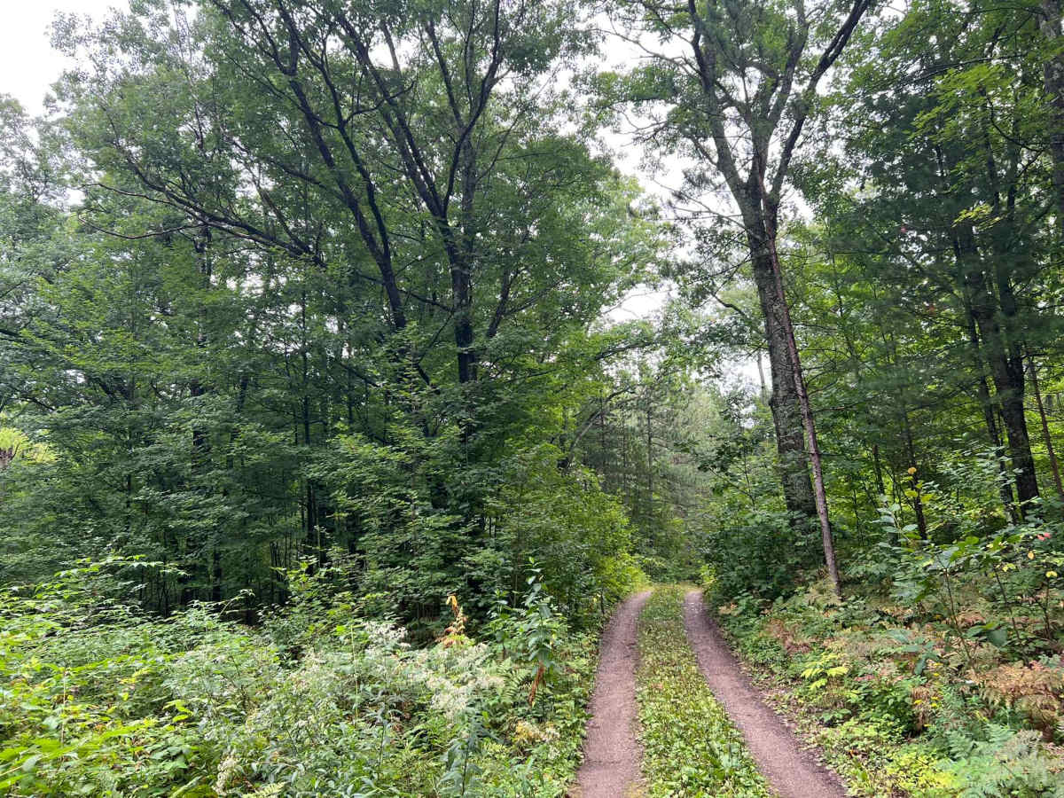FS 3060 trail photo