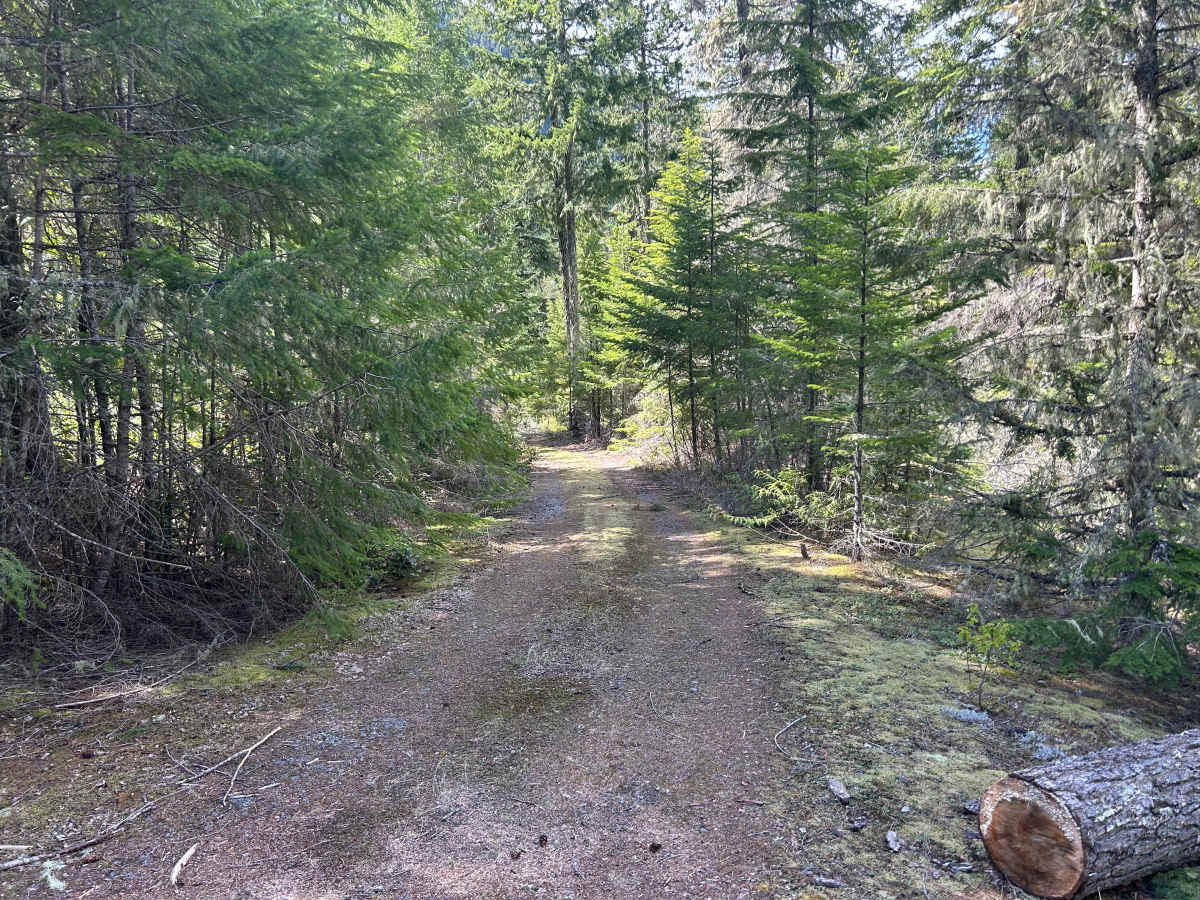 Canyon Road photo 5