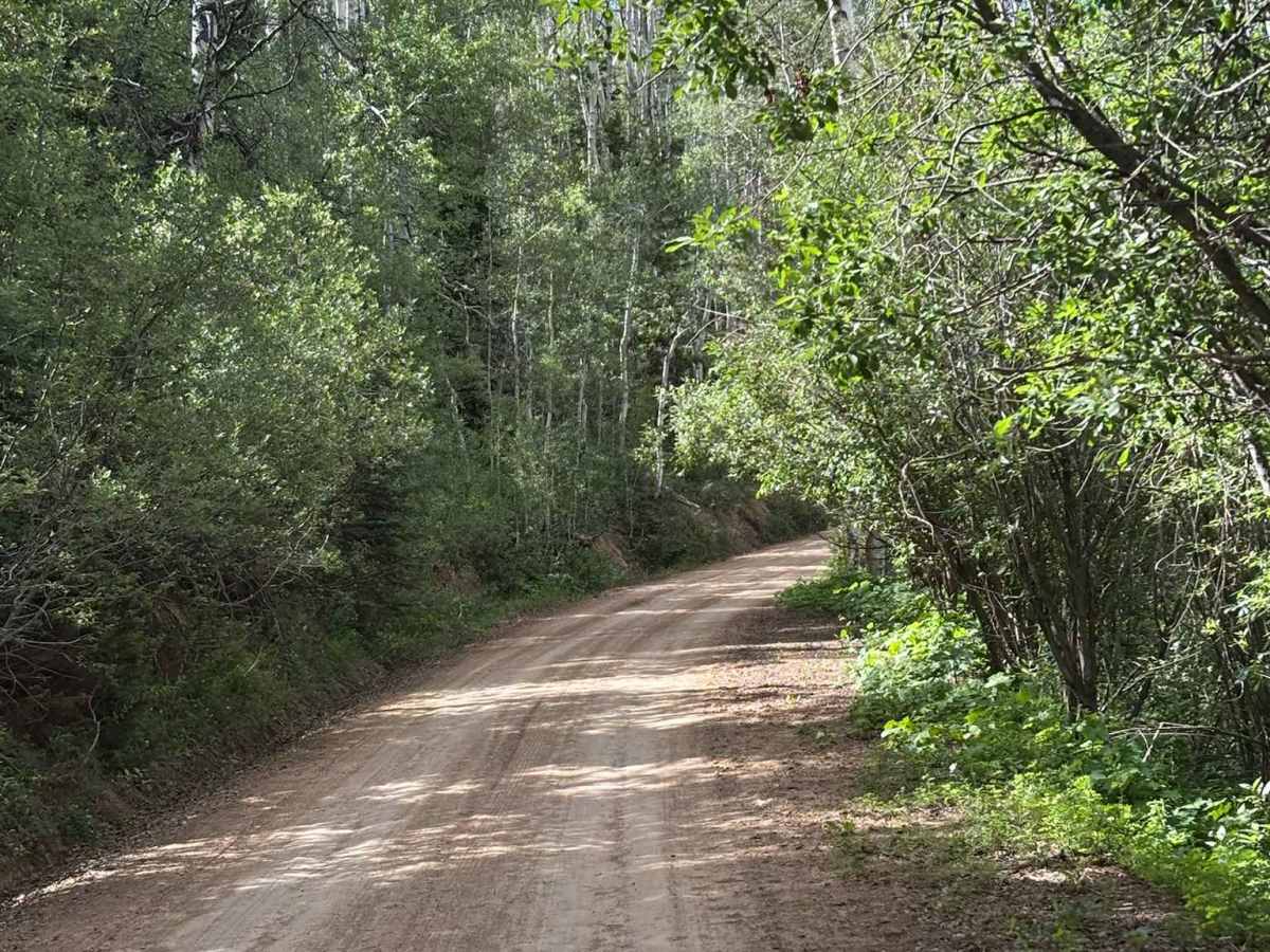 Eagle-Thomasville Road - Egress photo 5