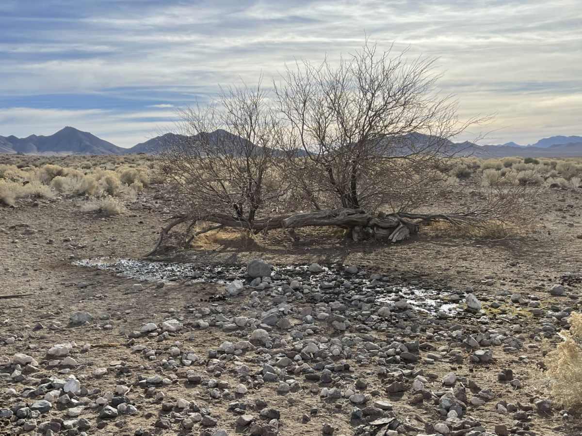 Mud Springs Road trail photo