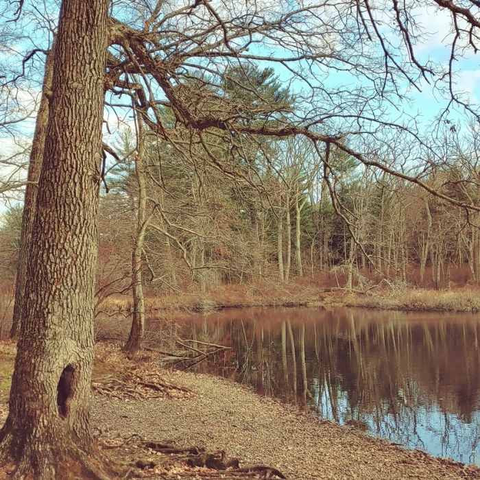 Near Rocky Narrows Loop