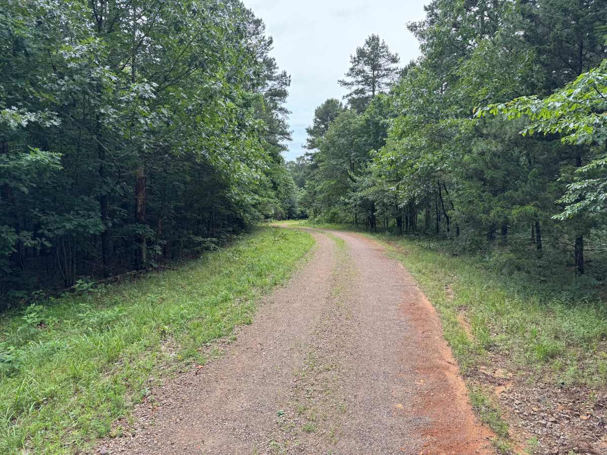 Trouble trail photo