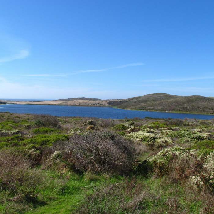Near Abbotts Lagoon