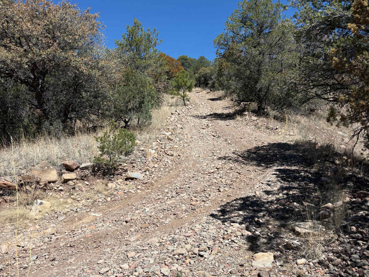 Hay Mesa - Trail 976  trail photo