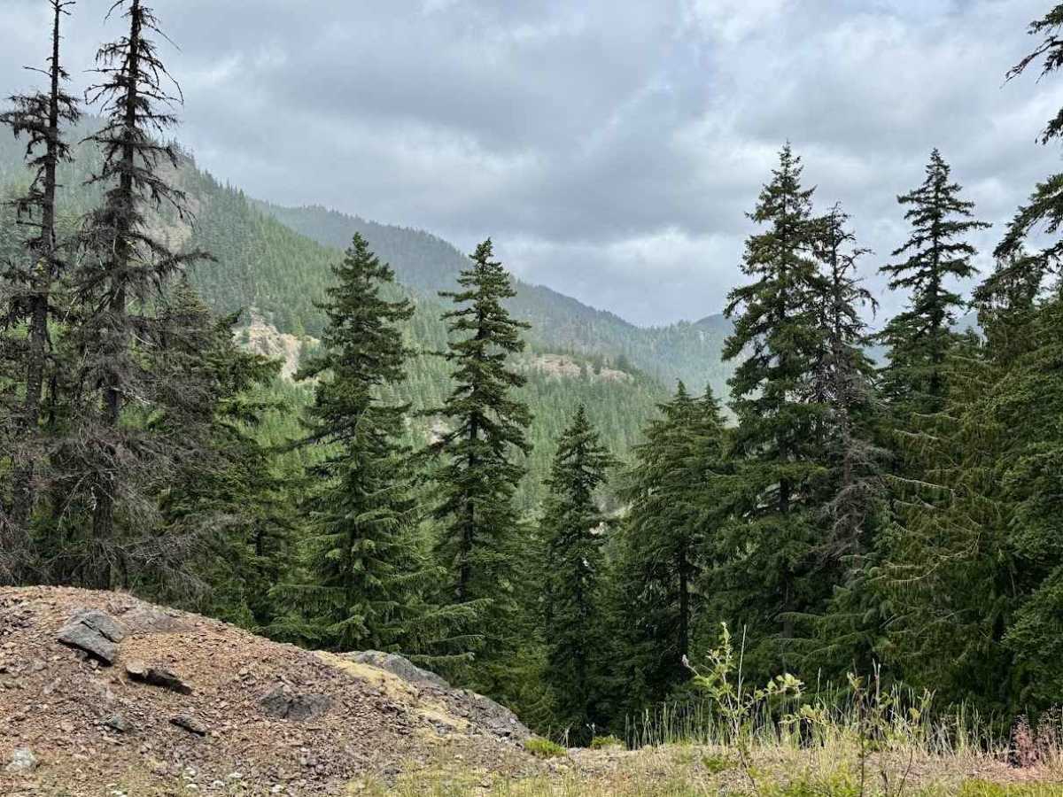 Log Creek - FS 4110 trail photo
