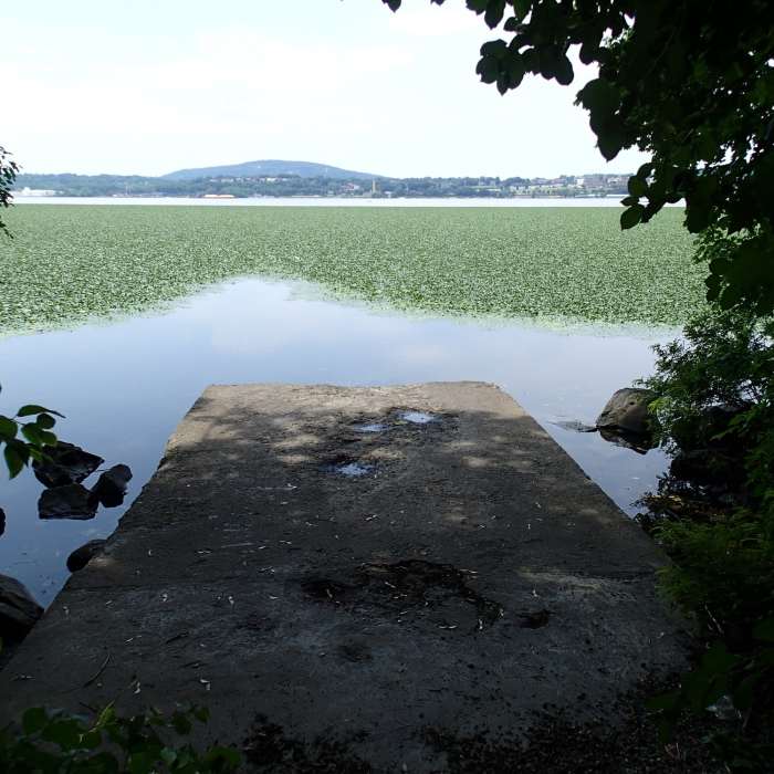 Hudson River Near Klara Sauer Trail