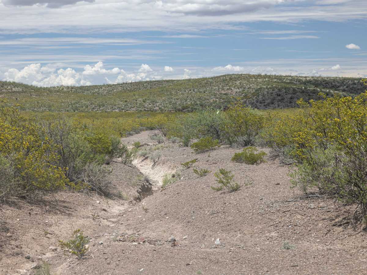 BBRSP - Los Alamos Road trail photo