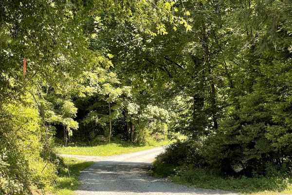 Globe Road