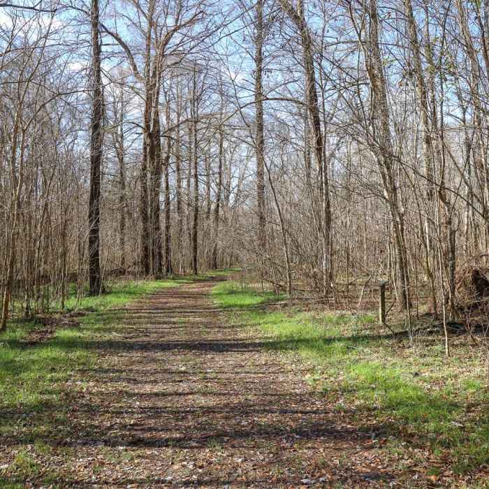 Near Indian Bayou Loop Near Indian Bayou Loop