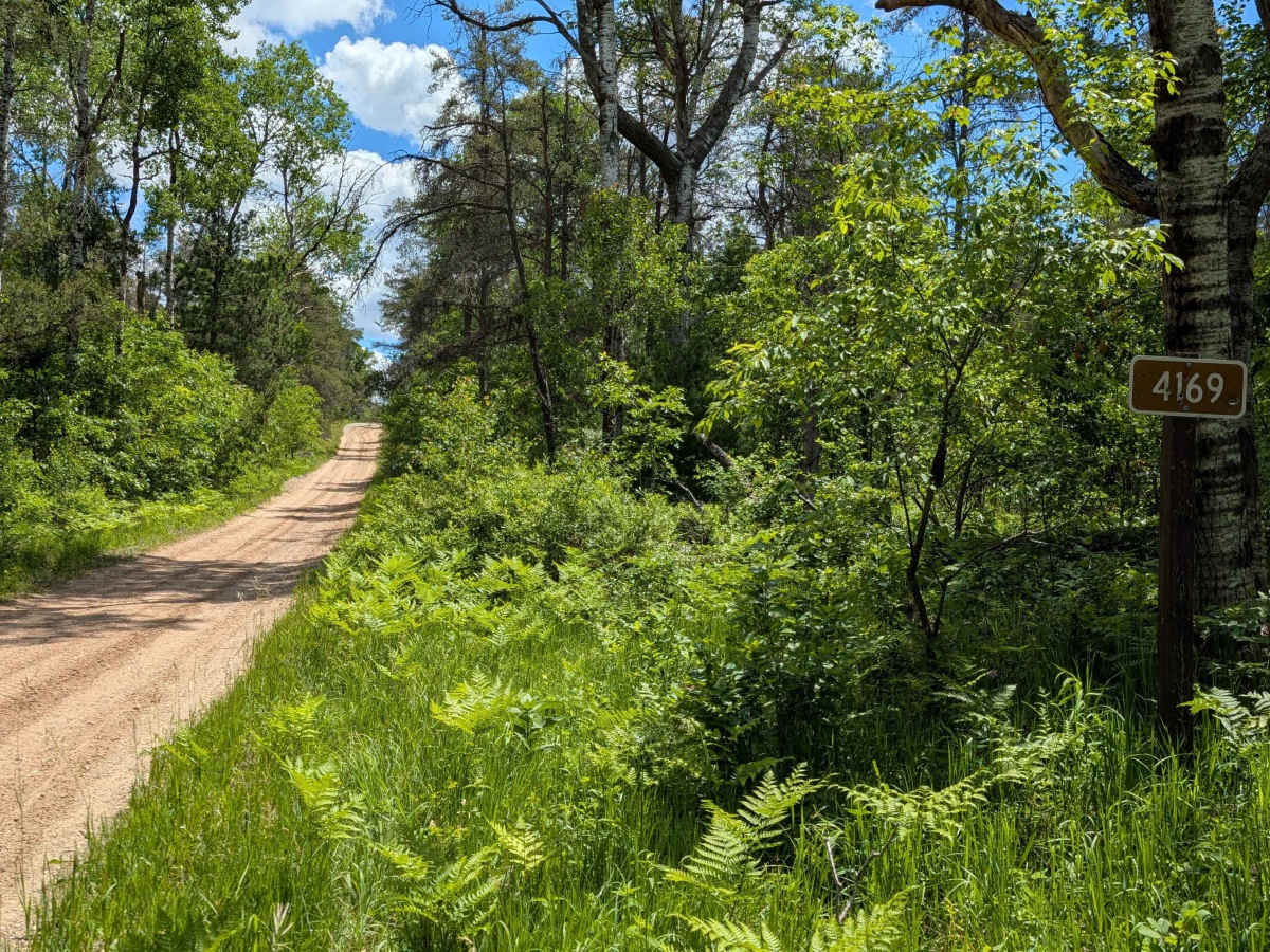 East Tower Road - FS 4169 photo 3