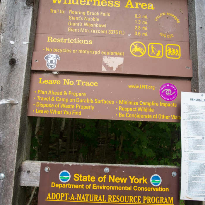 Near Roaring Brook Falls Near Roaring Brook Falls