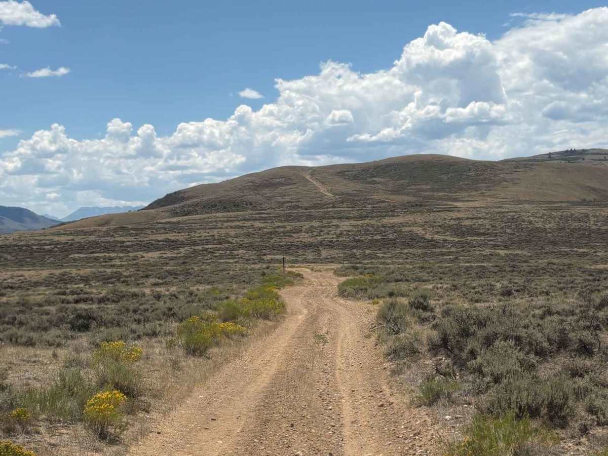 North Red Mountain Trail photo 6