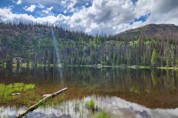 Blue Lake Loop - FS 80531