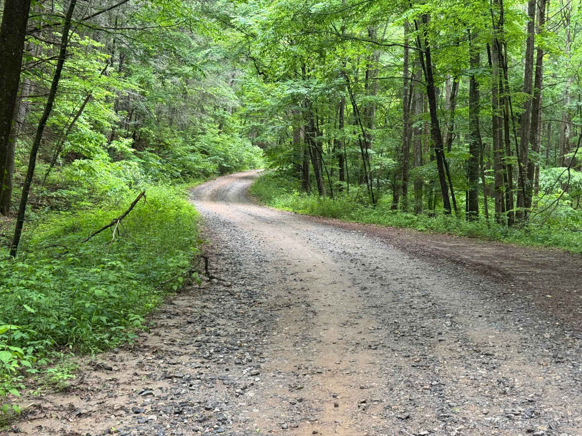 Cavender Gap - CR 163 photo 3
