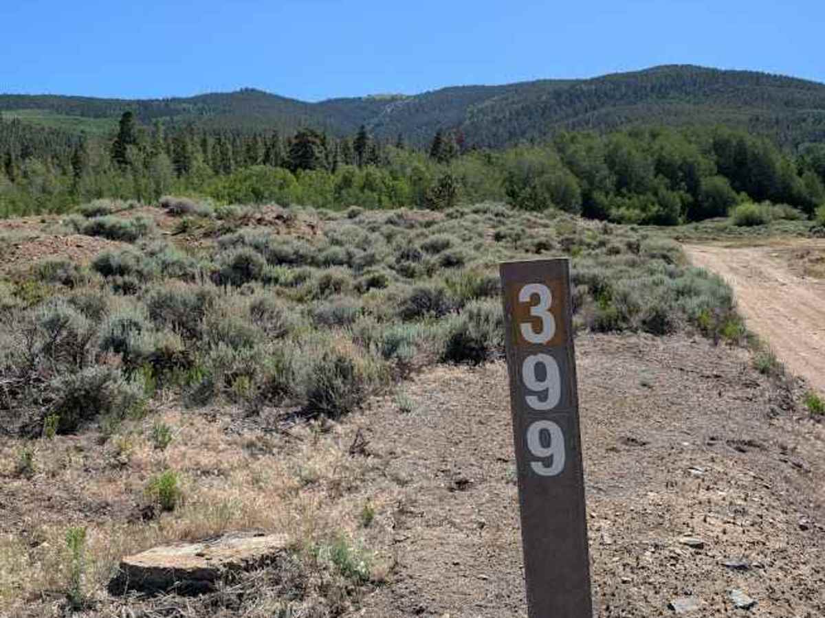 Flume Gulch Road trail photo