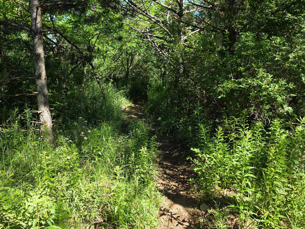 Single Track N photo 3