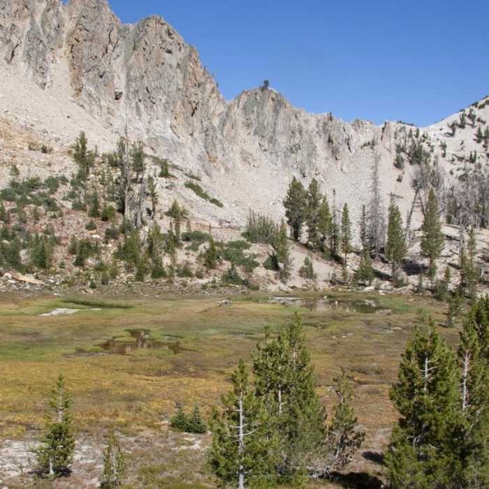 Near Edith Lake and Sand Mountain Divide