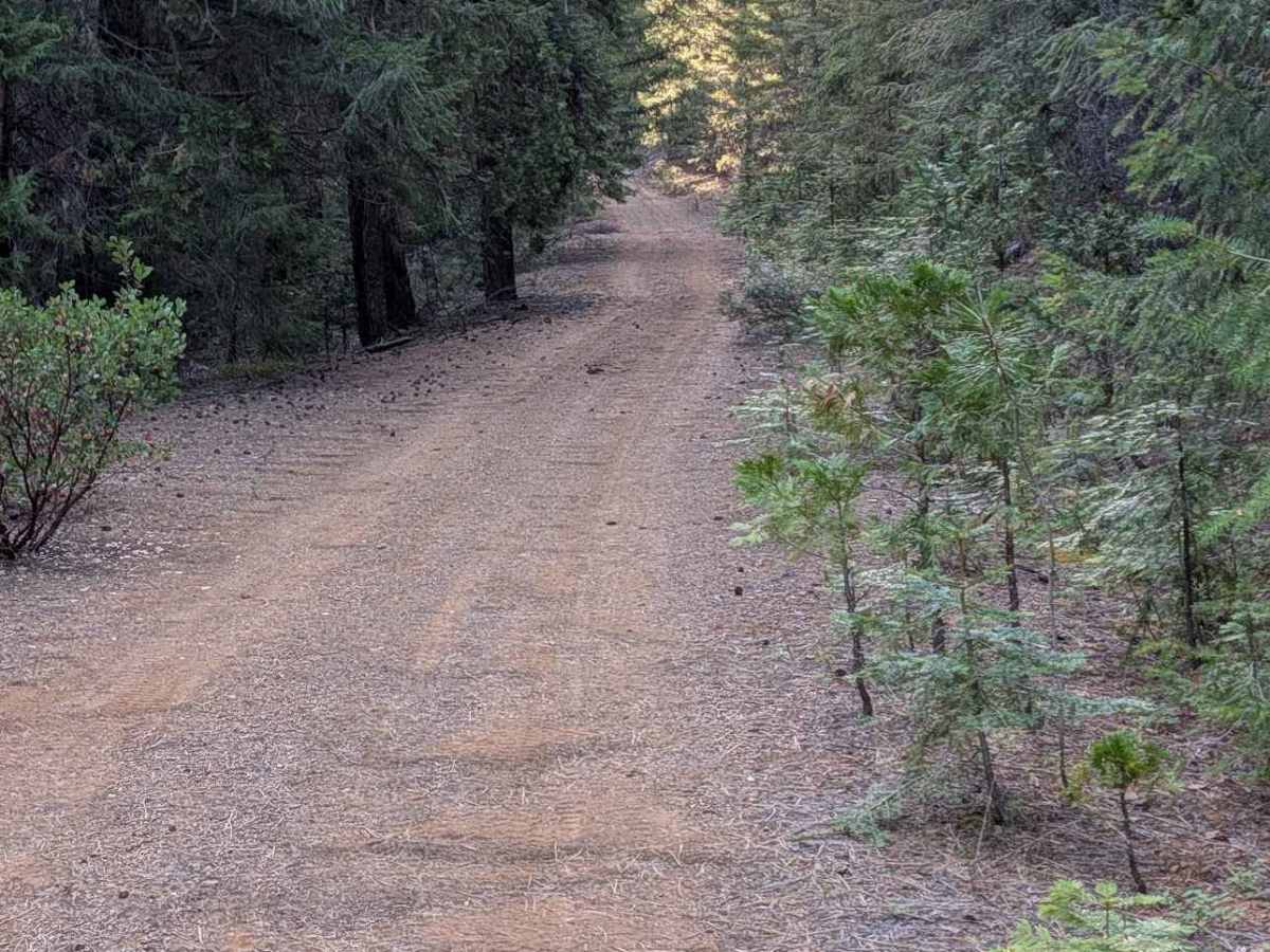 Skip Road - FS 1N28 photo 5