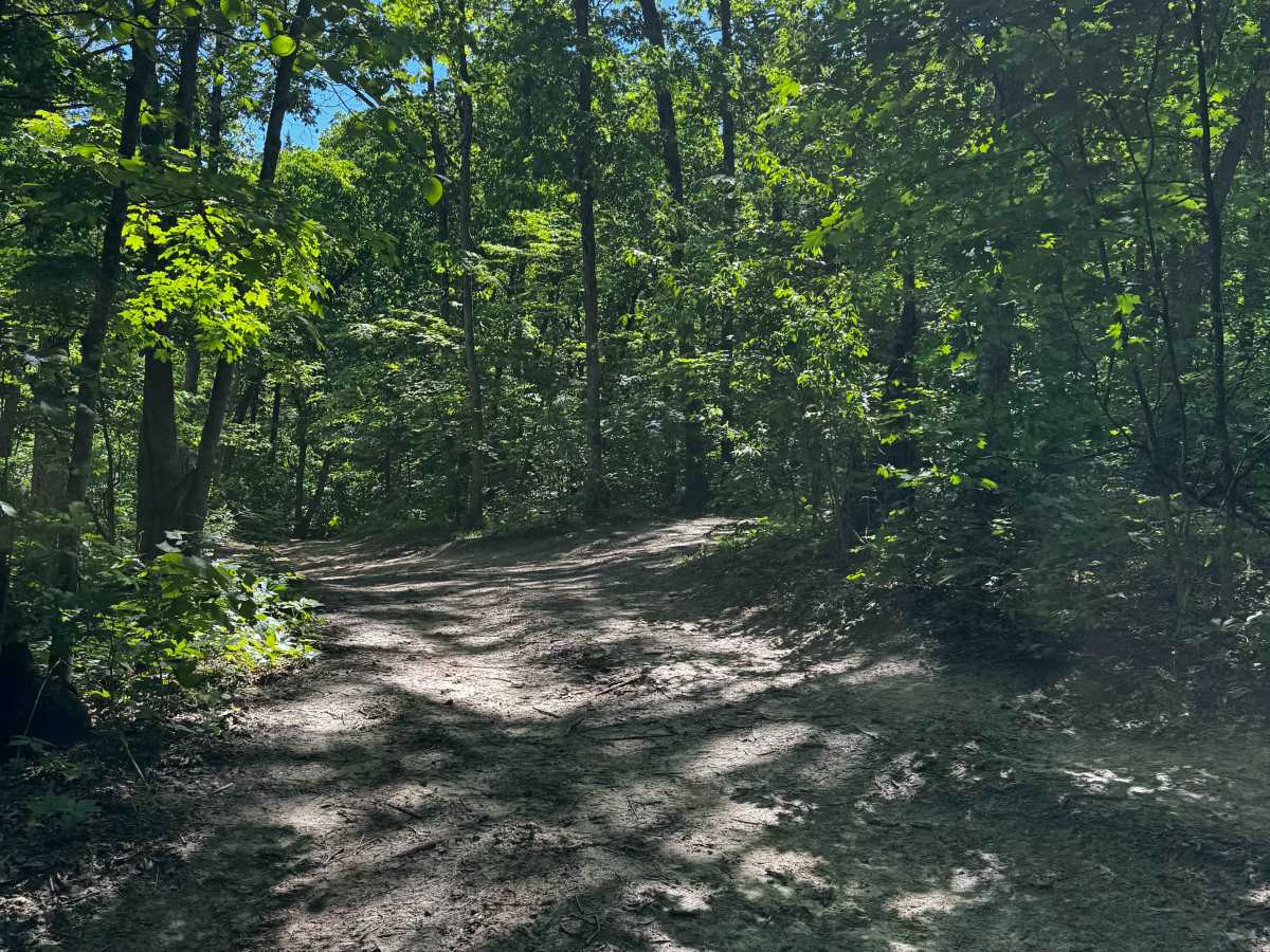 Inner Cut 8 trail photo