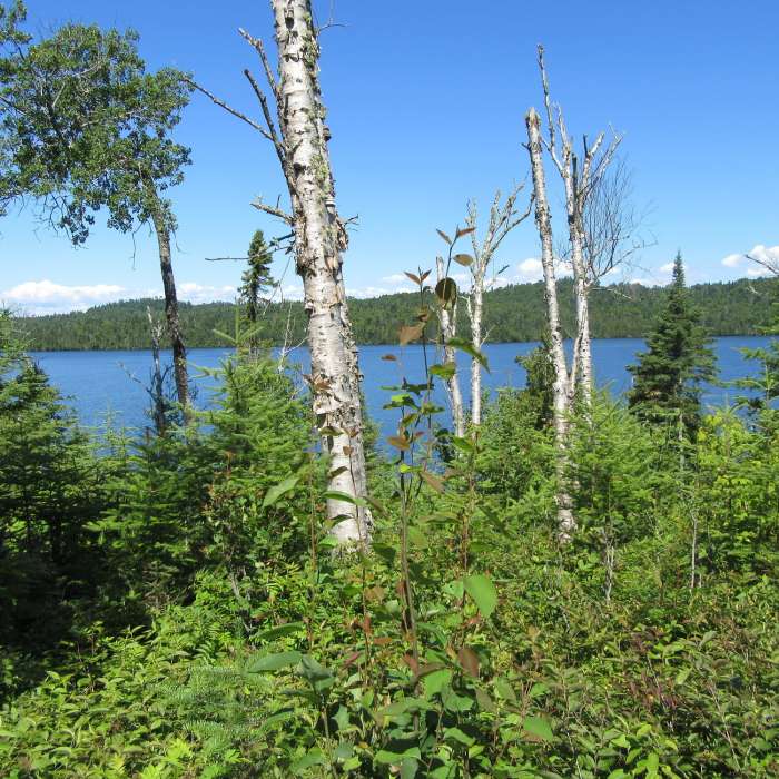 Washington Harbor from the Windigo Nature Trail. Near Windigo Nature Loop