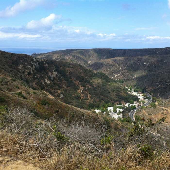 Near Aliso Creek Park Loop