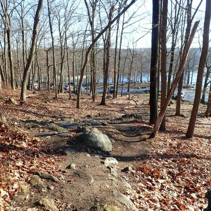 Near Fingerboard Mountain Loop