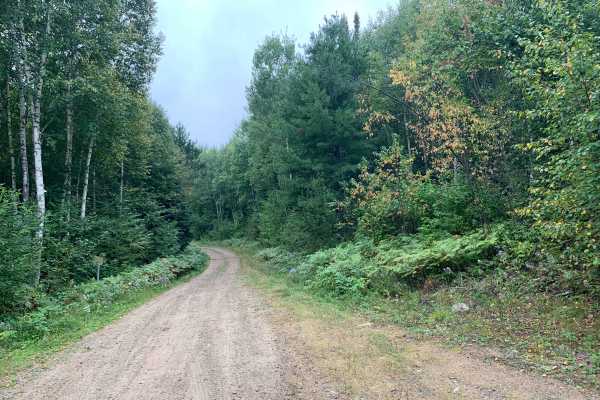Vermigrade Spur D Trail