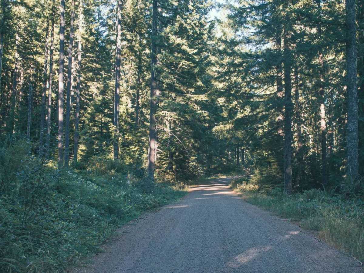Laying Creek -Patternson photo 6