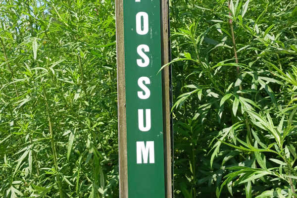 Opossum Run - Rock Run Recreation Area