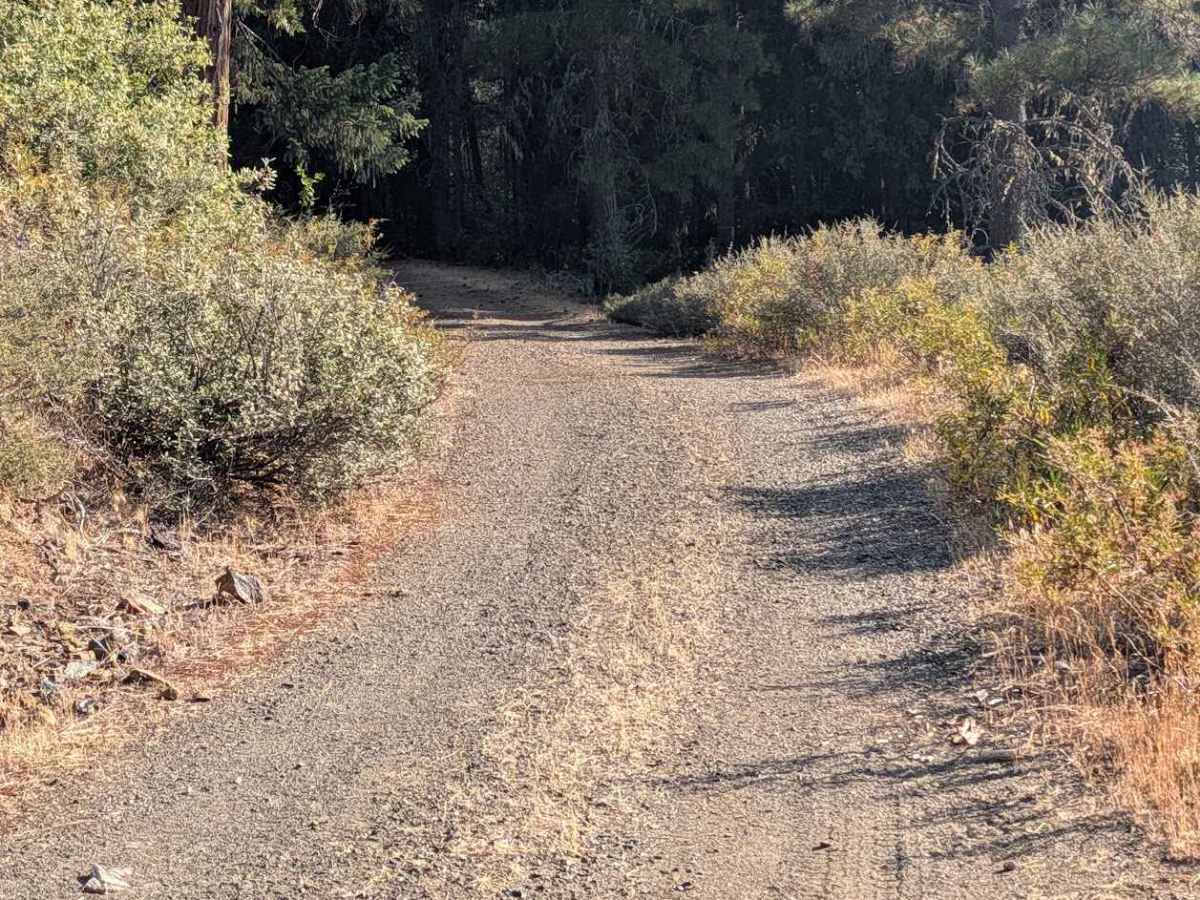 Round Knob Road - FS 5N27 photo 4