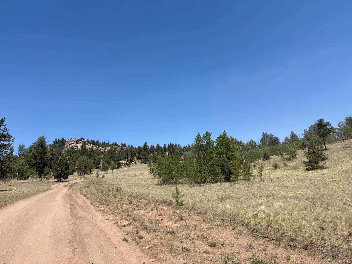 S.T.I.T. Road - FS 244B photo 5