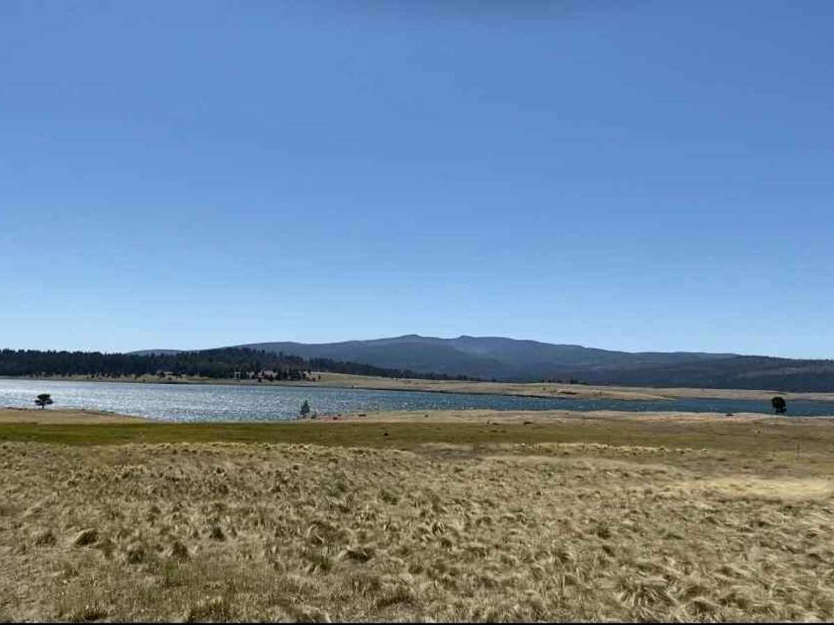 Log Landing photo 5