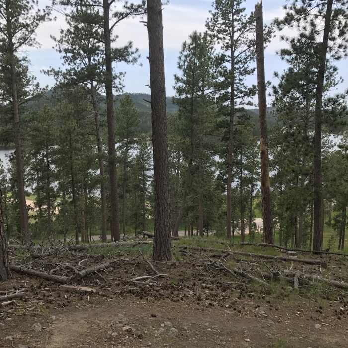 Near Stockade Lake Trail