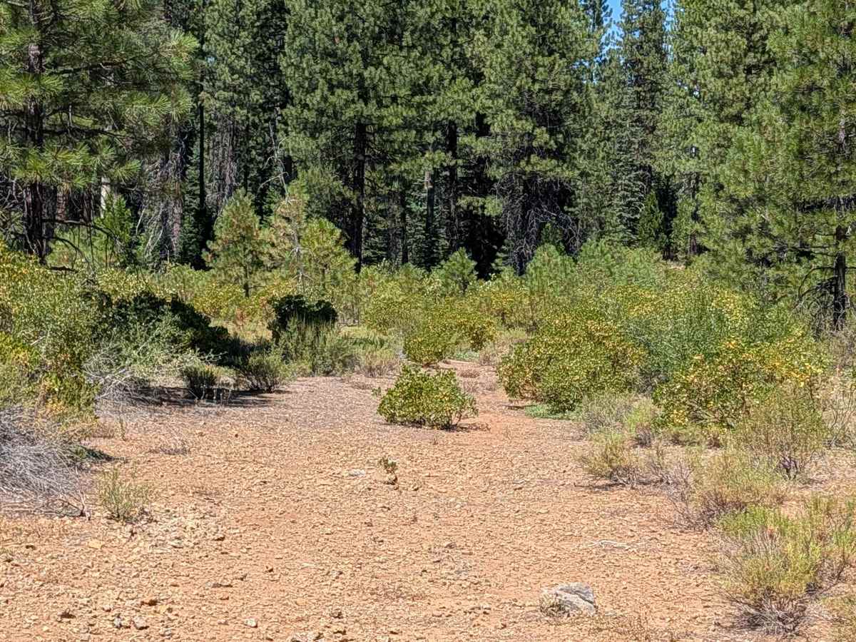 Mud Well - FS 41N90 photo 6