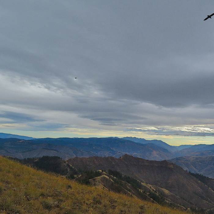 Near Camp Howard Trail #104