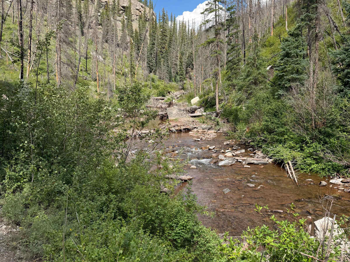 Hermosa Creek Trail (514) photo 4